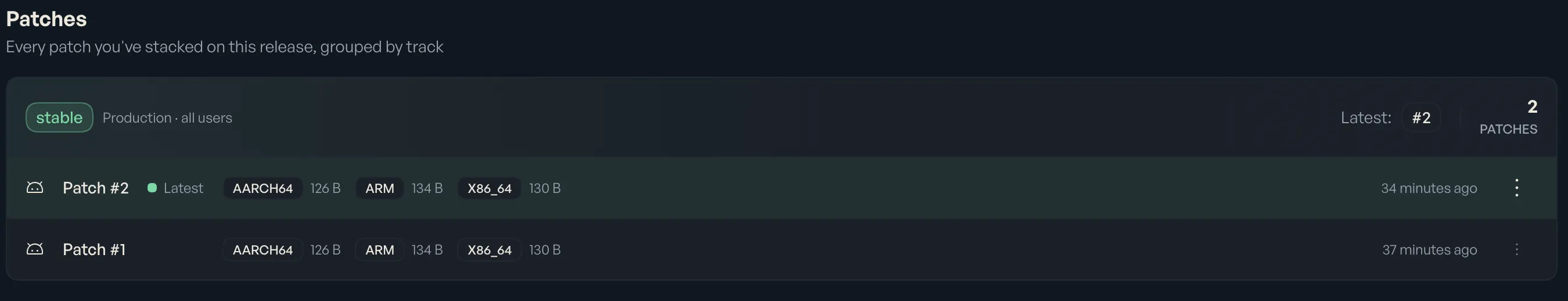The Shorebird Console showing two patches, with patch 2 as the active patch